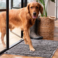 MudGuard™ Absorbent Dog Door Mat for Muddy Paws