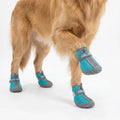 FrostStep™ Water-Resistant Dog Boots for Walks – 4 Pack
