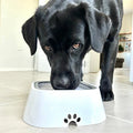 SplashGuard™ No-Spill Pet Water Bowl